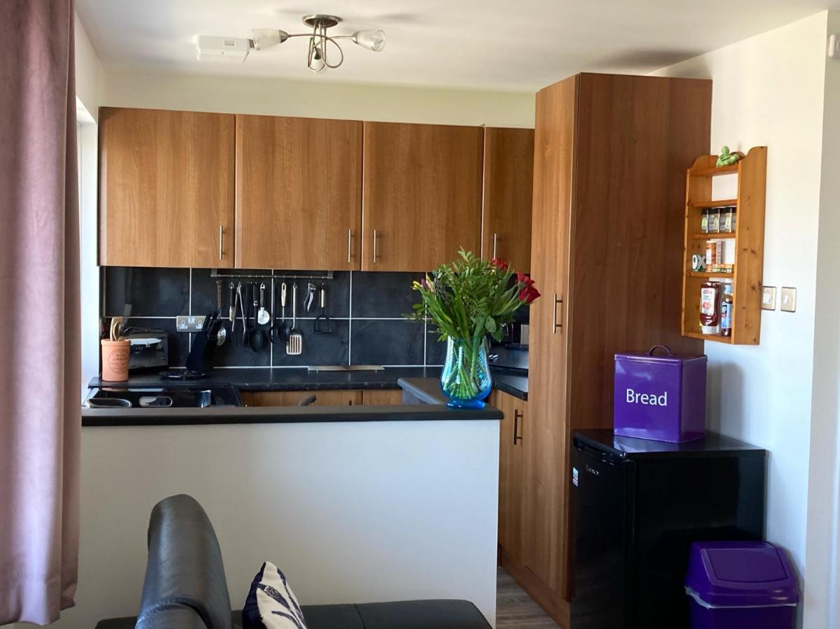 Apartament The Snug Ilfracombe Zewnętrze zdjęcie