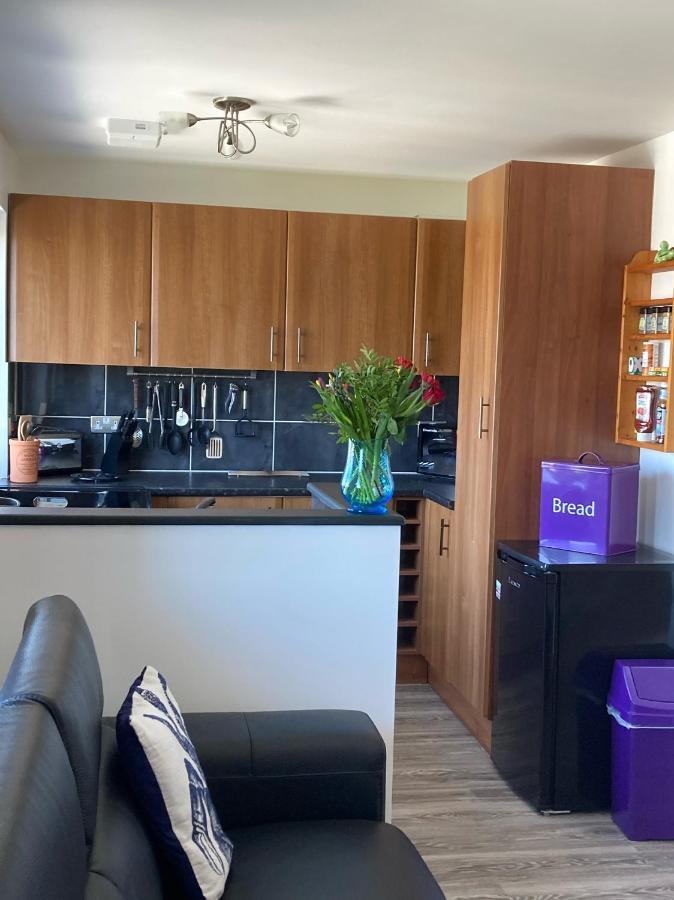Apartament The Snug Ilfracombe Zewnętrze zdjęcie